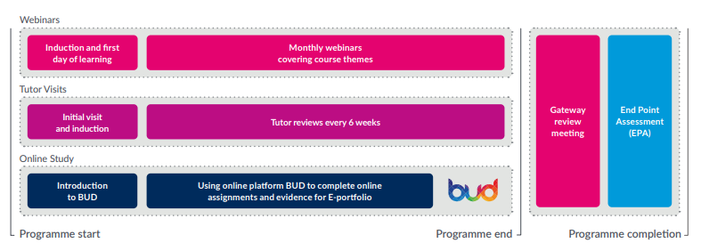 apprenticeship programme 